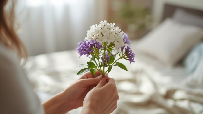 Fleurs de valériane délicates tenues par des mains féminines dans un environnement paisible, illustrant les bienfaits naturels de cette plante pour le sommeil