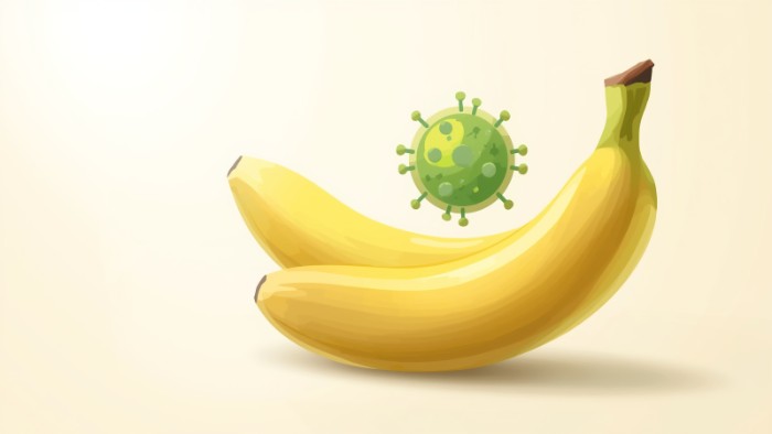 Banane tranchée avec icône de vésicule biliaire, représentant l’alimentation adaptée pour prévenir ou soulager les calculs biliaires.