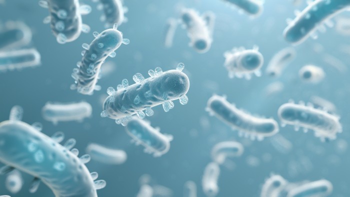 Illustration scientifique représentant la bactérie Hafnia alvei sous forme de cellules allongées sur un fond microbiologique bleu.